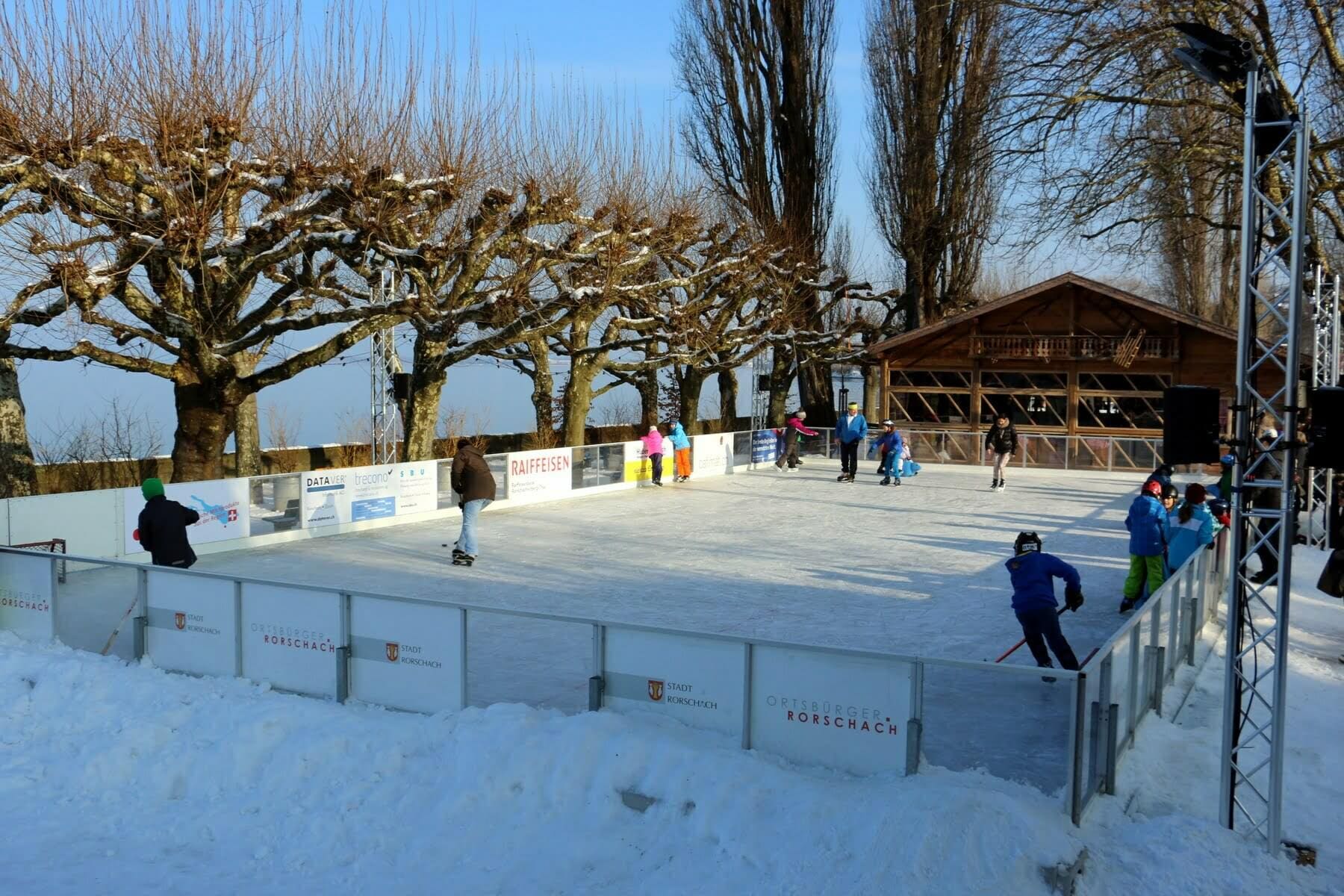 IMG_6501