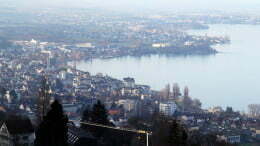 IMG_8889.jpg