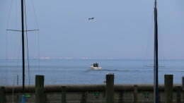 IMG_7612.jpg