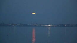 IMG_7688.jpg